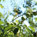 탄소제로교육관 전시실 이미지