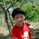 승영농장 이미지