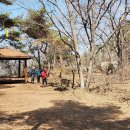 곡성-126 이미지