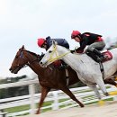 연사랑 목장 이미지