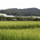 신하리 마을회관 이미지