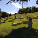 김지남 비갈 및 묘 이미지