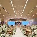 서울삼일교회 | 서울 아이폰스냅 메이르스냅 삼일교회 B관 에덴홀 본식촬영후기