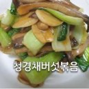 청경채버섯볶음 만드는법 팽이버섯과 소고기의 부드러운 만남 이미지