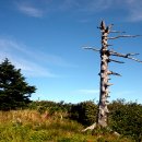 자연과사람들 이미지