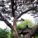 소나무경로당 이미지