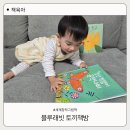 그림책으로만나는양성평등이야기 | 블루래빗 세계창작그림책으로 만나는 책육아 토끼책방