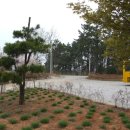 봉암초등학교 이미지