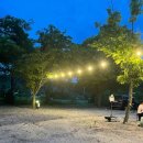 증산수도계곡캠핑장 | 🌿 물놀이 명당! 가평 감성 계곡 캠핑장 BEST 5 추천 🏕️