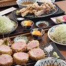 카츠료칸 | 카츠료칸 | 동탄 카츠 맛집 동탄 카츠료칸 신메뉴 왕돈까스 후기와 히레카츠 카레까지!