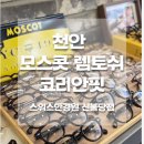 천안 모스콧 렘토쉬 코리안핏