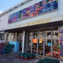 태양청과 이미지