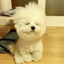 몽몽이# 이미지