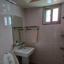 푸른푸릇 이미지