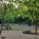 흙과나무 이미지