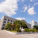 대진대학교 Daum카페