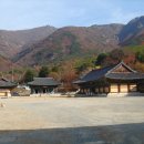 표충사 Daum카페
