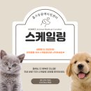 미소메디컬센터 이미지