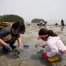 다도해민박 이미지