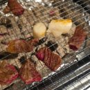 만해로 | 인제캠핑.#백담계곡오토캠핑장.#카페아니오니(내돈내산).#인제송어회포장.