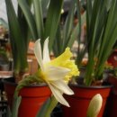 산정농원 이미지