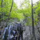 청학목장 이미지