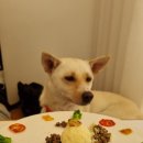 맘마데이 이미지