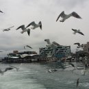 설레임PC 이미지