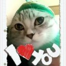 푸우동물병원 이미지