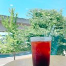 블루샥 동김해 DT점 이미지
