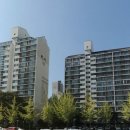 양영디지털고 앞 이미지