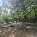 해맞이동산