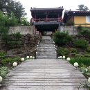 토산1리 티스토리