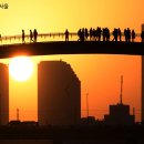 어서오시개 이미지