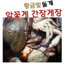 돌산막창 이미지