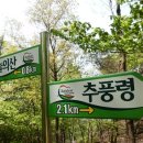 개팔자 상팔자 이미지