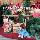 현대애견 | 서울근교 크리스마스 나들이｜다산현대프리미엄아울렛 야외 포토존 애견동반 후기