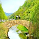 영산 현감비군 | [창녕여행]#영산만년교 #인생사진 #반영사진찍기좋은곳
