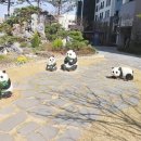 초이스공인중개사사무소 이미지