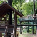 할미꽃하우스 민박 이미지