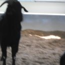 현제농장 이미지