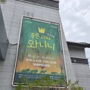 거창문화재단 | 거창 실내 가볼만한곳 반쪽이의 상상력 박물관전 거창문화센터 전시 후기