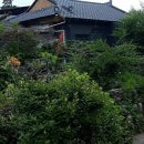 내고향공인중개사사무소 이미지