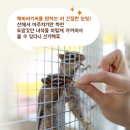 강릉아기동물농장 이미지