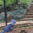 에덴파크 이미지