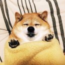 미래정보교육 이미지
