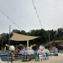 동일안전 | 포천 글램핑 추천｜'포천탑글램핑장' 내 돈 내산 솔직후기 (시설·가격·분위기 총정리)