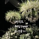 여의도웨딩컨벤션 | 서울 웨딩홀 | 여의도웨딩컨벤션 하객 솔직후기 (식사·동선·주차 총정리)