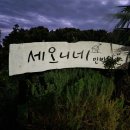세오니네집 | 제주도 감성숙소 / 세오니네민박 다녀온후기~~ 내돈내산