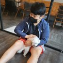 독크루북구점 이미지